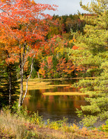 North Gut Bay #5 at St. Anns, (Cape Breton Island, NS Canada)