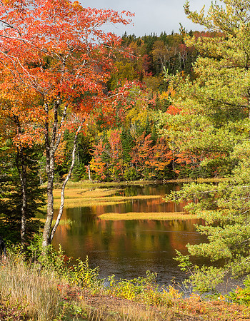 North Gut Bay #5 at St. Anns, (Cape Breton Island, NS Canada)