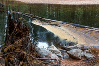 Merced River scum