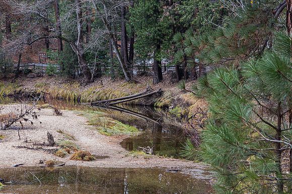 Merced River 3