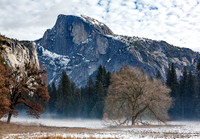 Half Dome and Oak