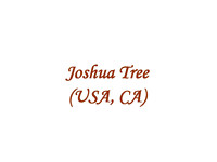Joshua Tree (USA,CA)