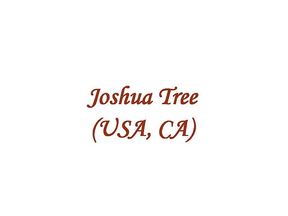 Joshua Tree (USA,CA)
