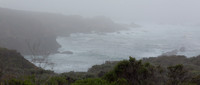 Foggy day at Garapata State Park