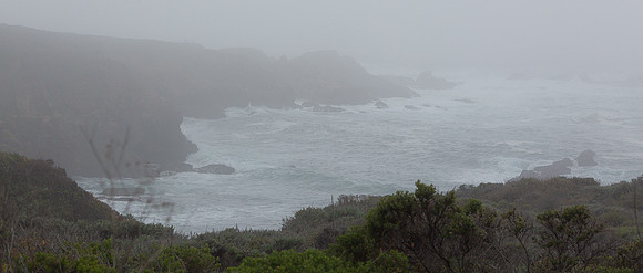 Foggy day at Garapata State Park