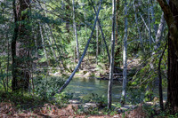 Big Sur River, Pfeiffer Big Sur State Park