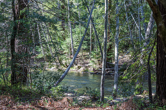 Big Sur River, Pfeiffer Big Sur State Park