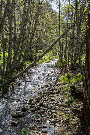 Bixby River from Old coast road