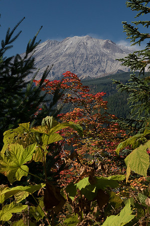 Mt. St. Helens from the East side
