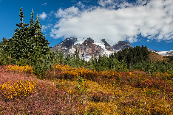 Mt. Rainier with fall color #1