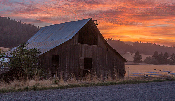 Palouse Sunset