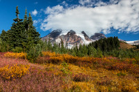 Mt. Rainier with fall color #1