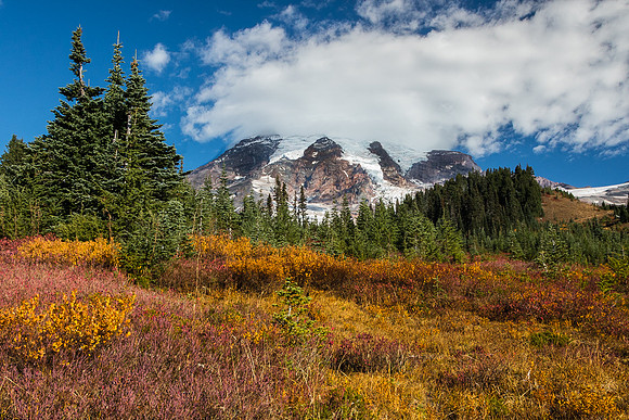 Mt. Rainier with fall color #1
