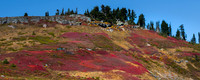 Fall Color along Upper Skyline Trail