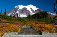 Mt. Rainier with fall color #4