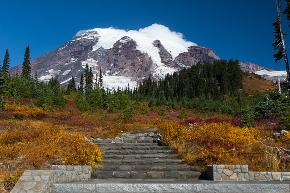 Mt. Rainier with fall color #4