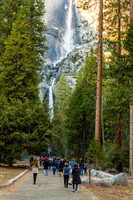 Crowds approach Yosemite Falls