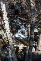 Alder Creek North Wawona (Rt-41) - 1