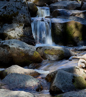 Alder Creek North Wawona (Rt-41) - 2