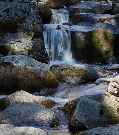 Alder Creek North Wawona (Rt-41) - 2