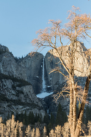 Yosemite Falls From Swinging Bridge, Yosemite