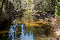 Tenaya Creek Bridge on Mirror Lake road., Yosemite