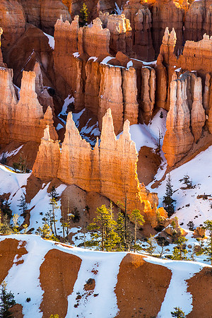 Hoodoos glowing in early morning light