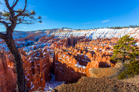 Bryce canyon in early morning from Sunset Point #8