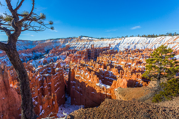 Bryce canyon in early morning from Sunset Point #8