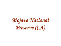 Mojave National Preserve