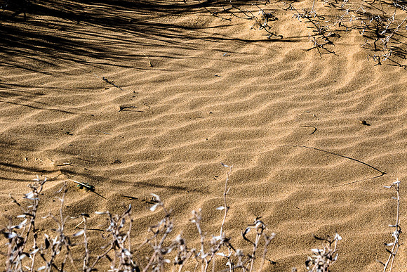 Ripple in the sand