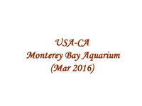 2016-03 USA CA - Monterery Bay Aquarium