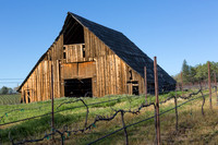 Barn at Busby Cellars #3