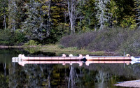 Canoes River Sautauriski Jacques-Cartier National Park, Quebec