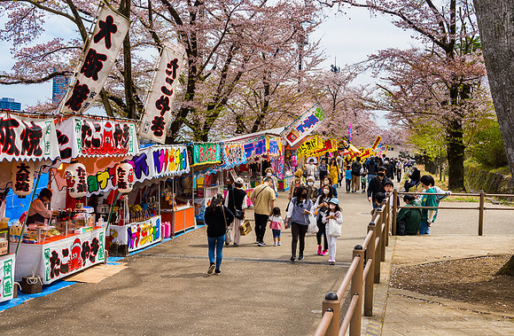 Cherry Blossom Festival, Fujimori Park 2