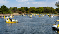 Boating, Showa Memorial Park