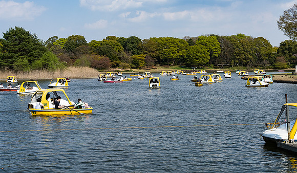 Boating, Showa Memorial Park