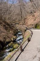 Trail to Karuizawa Shiraito Falls, Japan