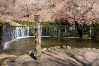 karuizawa Shiraito Falls, Japan - 5