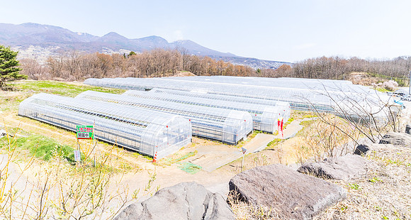 Strawberry green houses - 5
