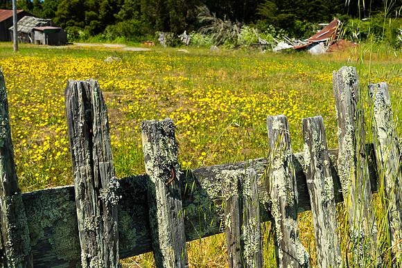 Fort Ross - 1