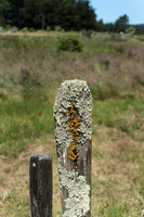 Fort Ross - 9