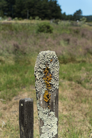 Fort Ross - 9