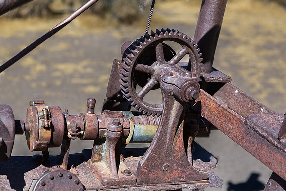 Worm Gear