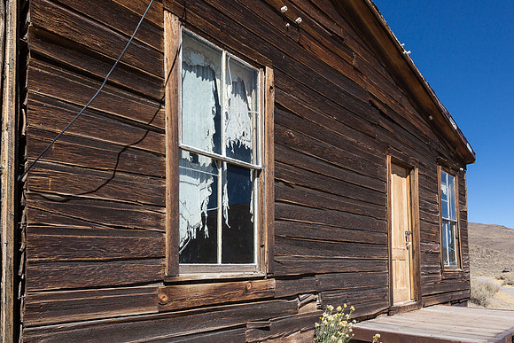 Bodie Torn Curtain