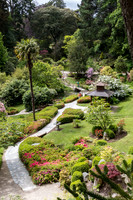 Japanese Garden at Powerscourt #1