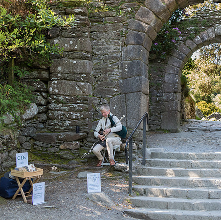 Piper at Old Glendalough town entrance