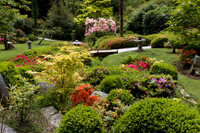Japanese Garden at Powerscourt #3