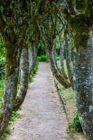Gardens, Cawdor Castle 01