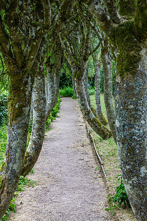Gardens, Cawdor Castle 01